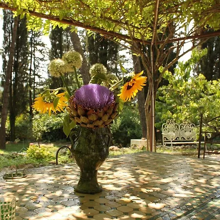 Agriturismo Biologico Palazzi Rufini コルチャーノ